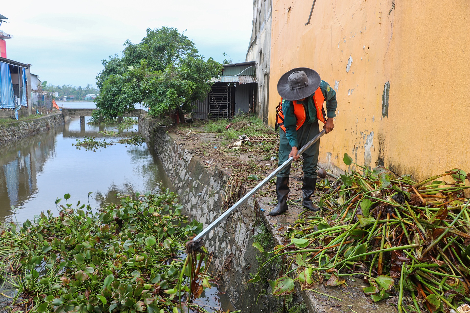 dan don dep truoc lu anh 3