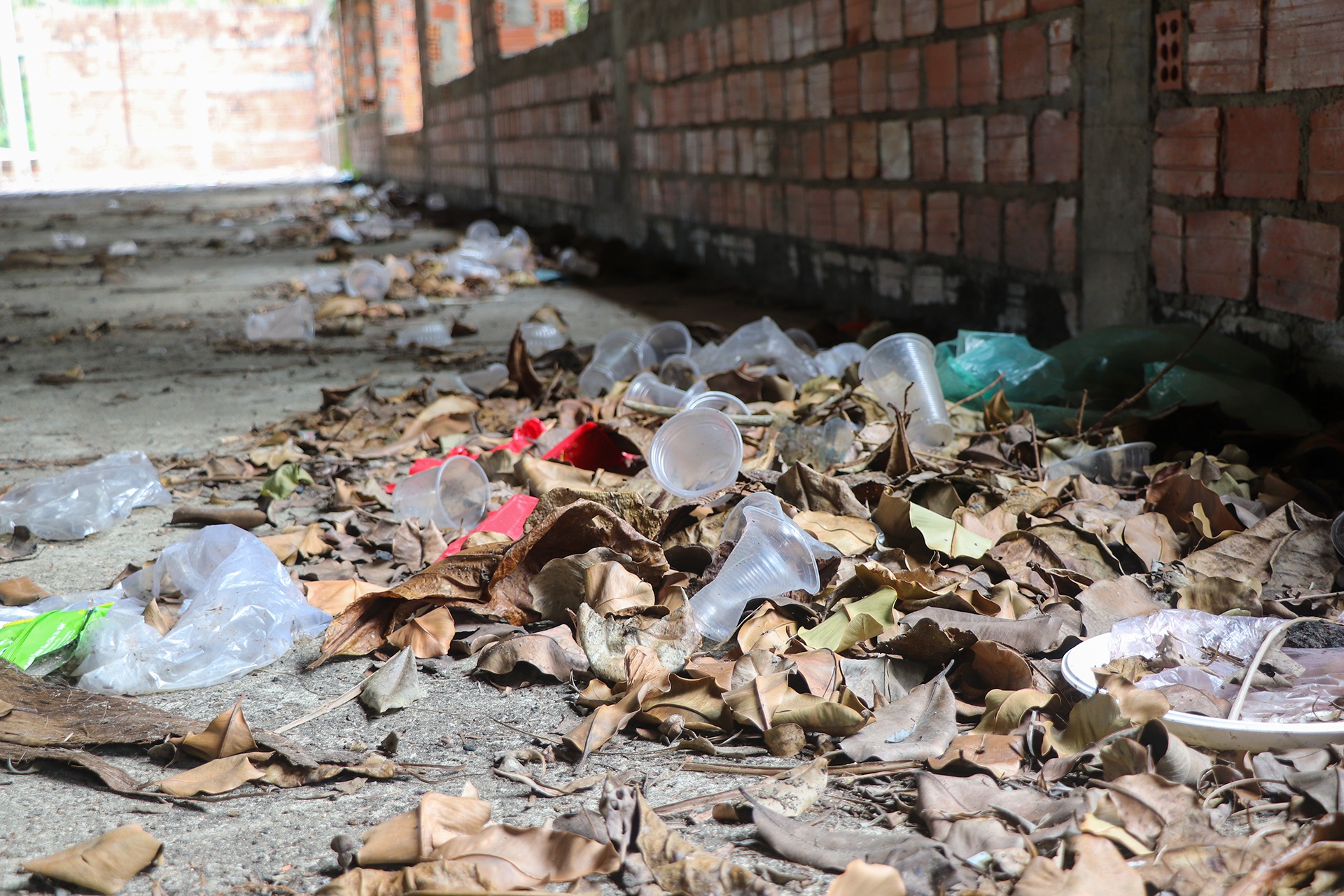 khu du lich bo hoang anh 5