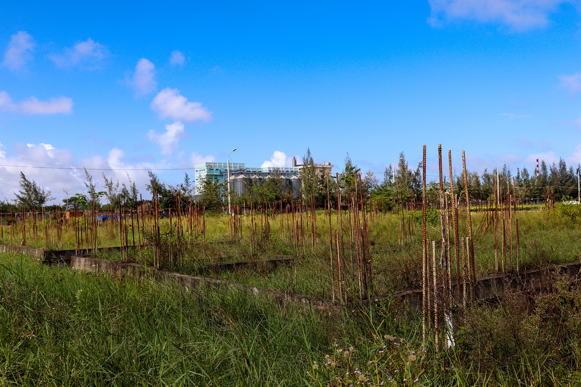 du an bi thanh tra anh 10