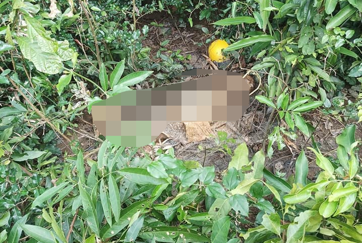 thi the phan huy anh 1