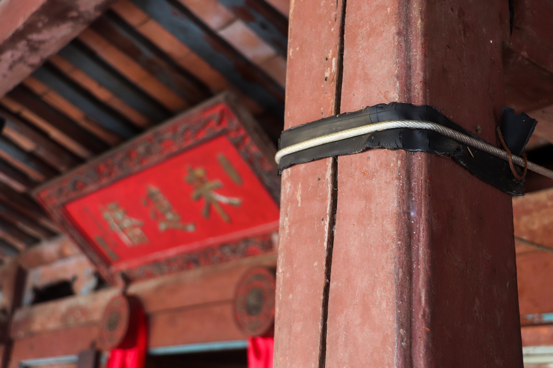 tu bo chua Cau anh 5