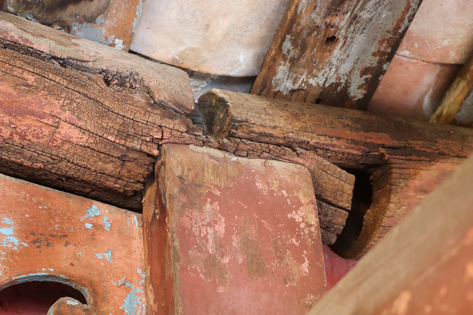 tu bo chua Cau anh 4