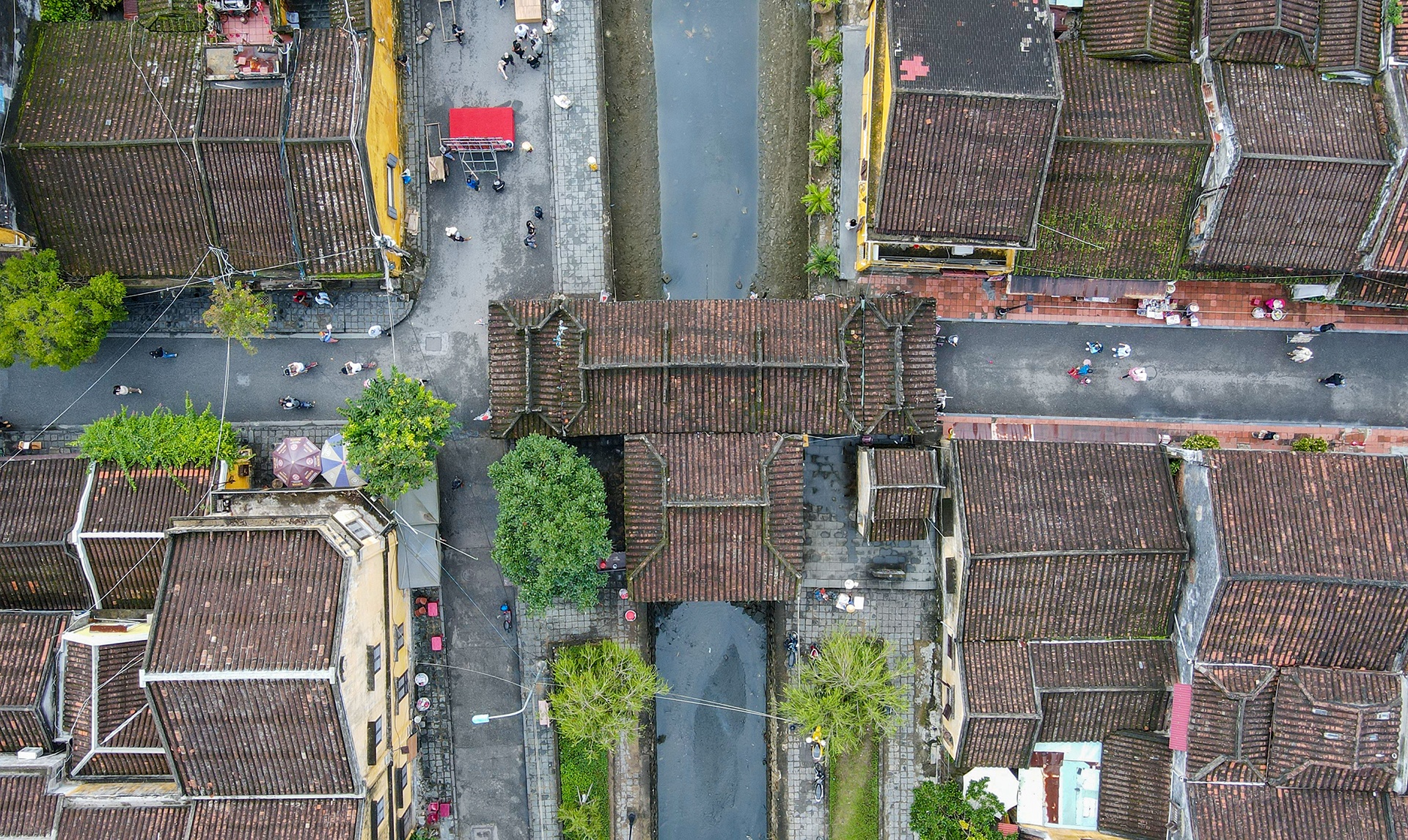 tu bo chua Cau anh 10