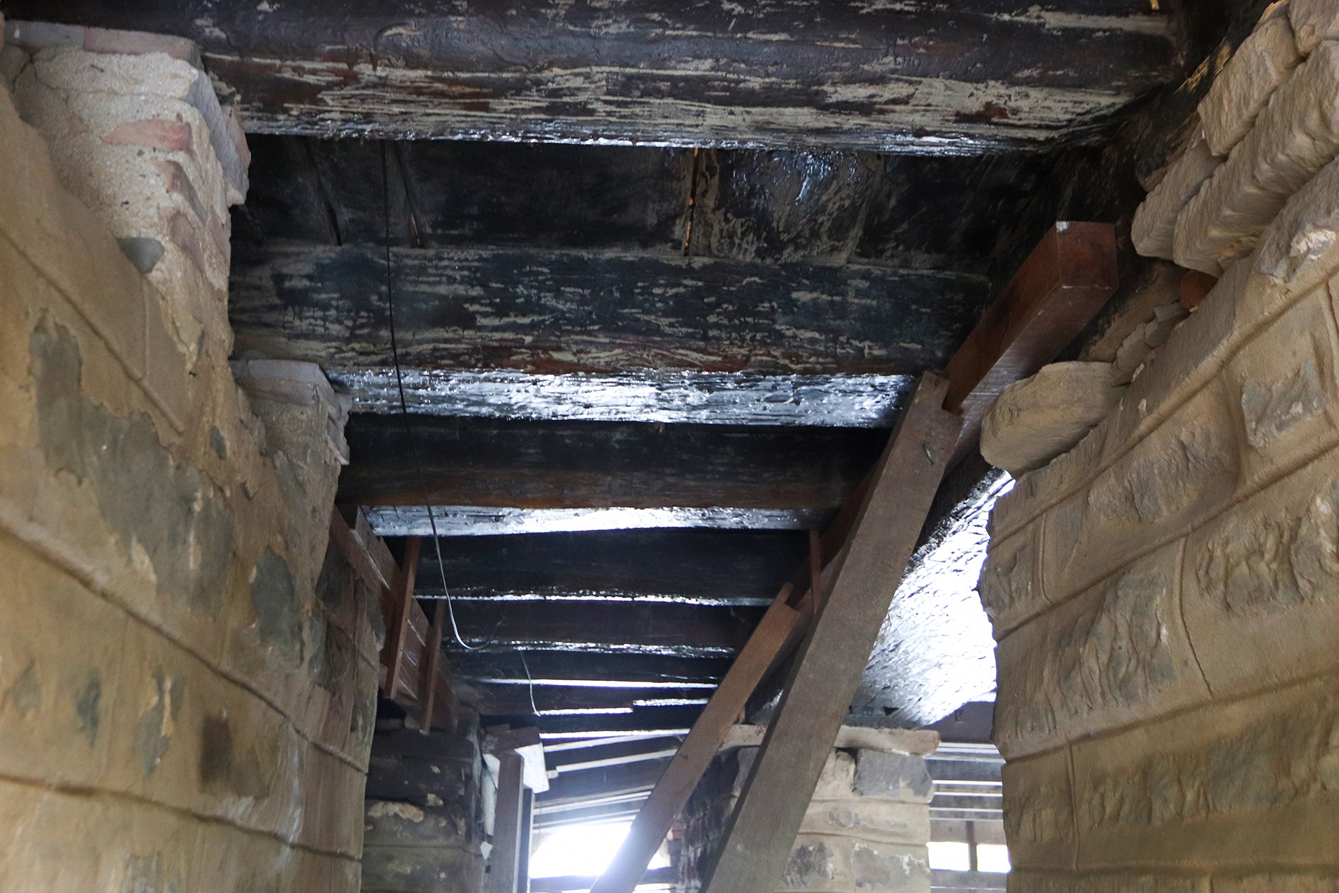 tu bo chua Cau anh 2