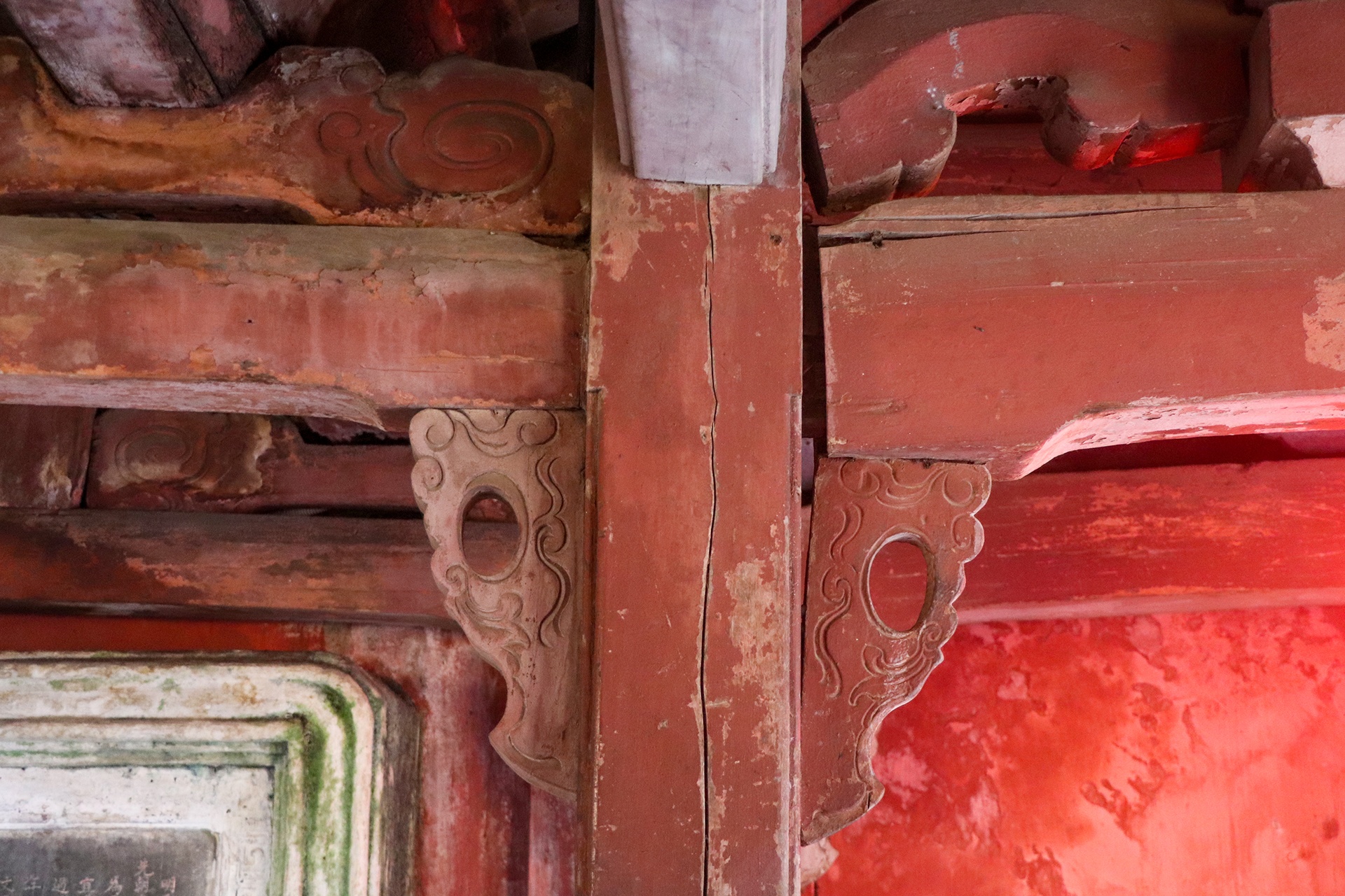 tu bo chua Cau anh 7