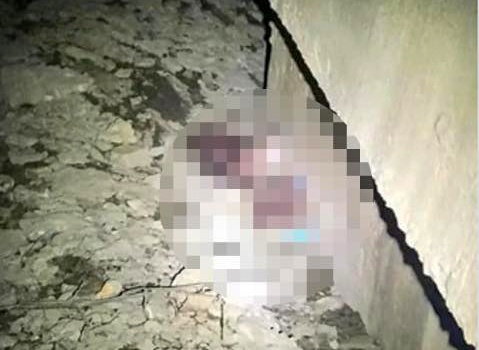 Dieu tra vu be so sinh bi bo roi duoi chan cau Ha Nha hinh anh