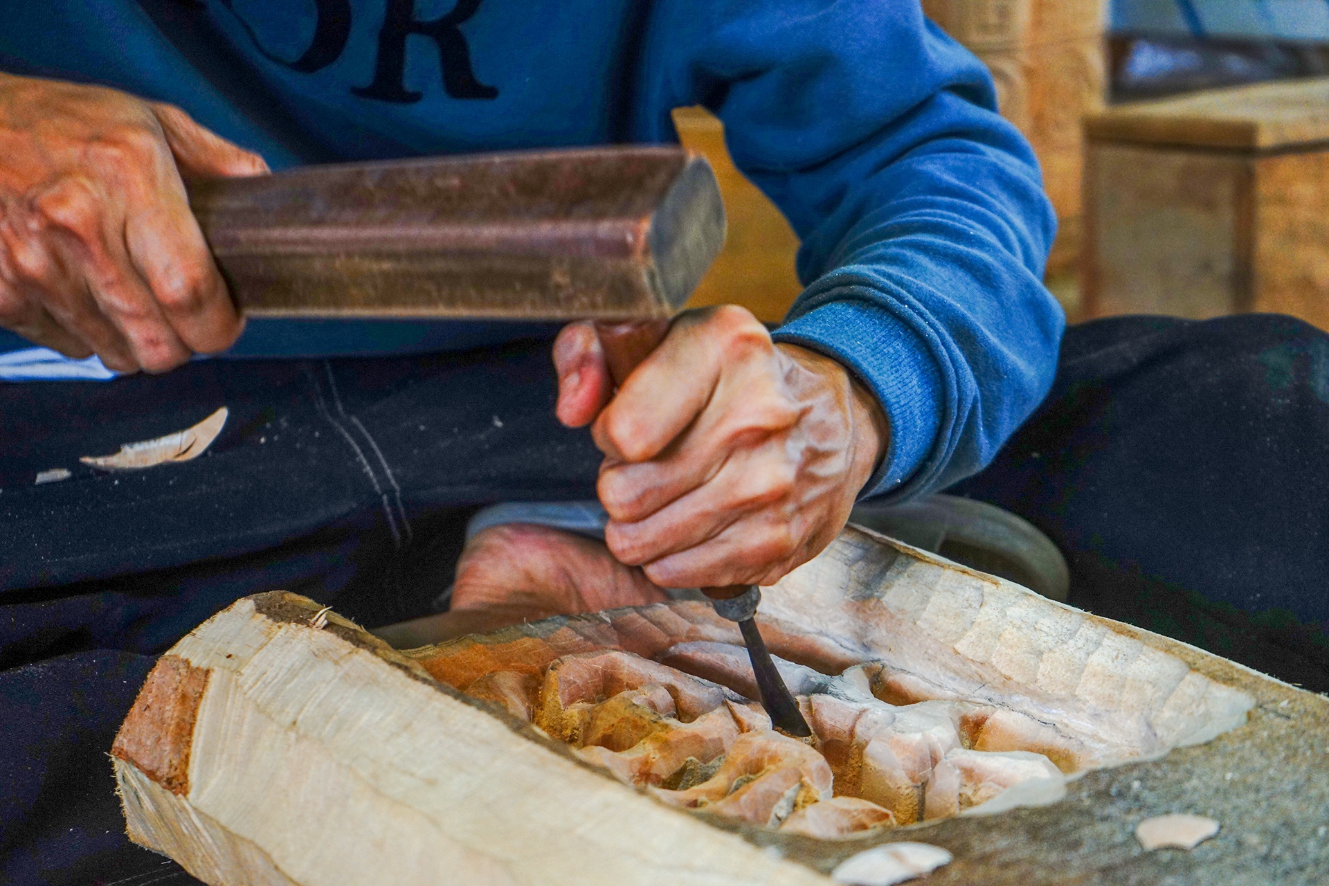 meo go Quy Mao anh 4