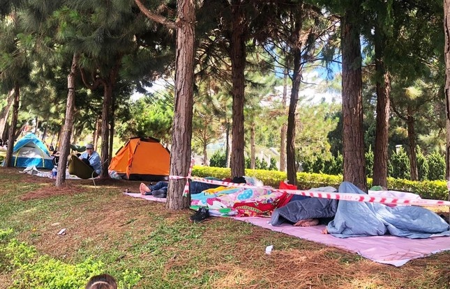 Da Lat cam ngu leu ven ho Xuan Huong dip Tet hinh anh