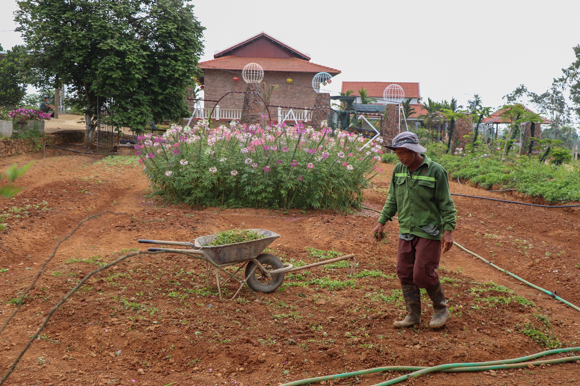 xay dung trai phep nha anh 6
