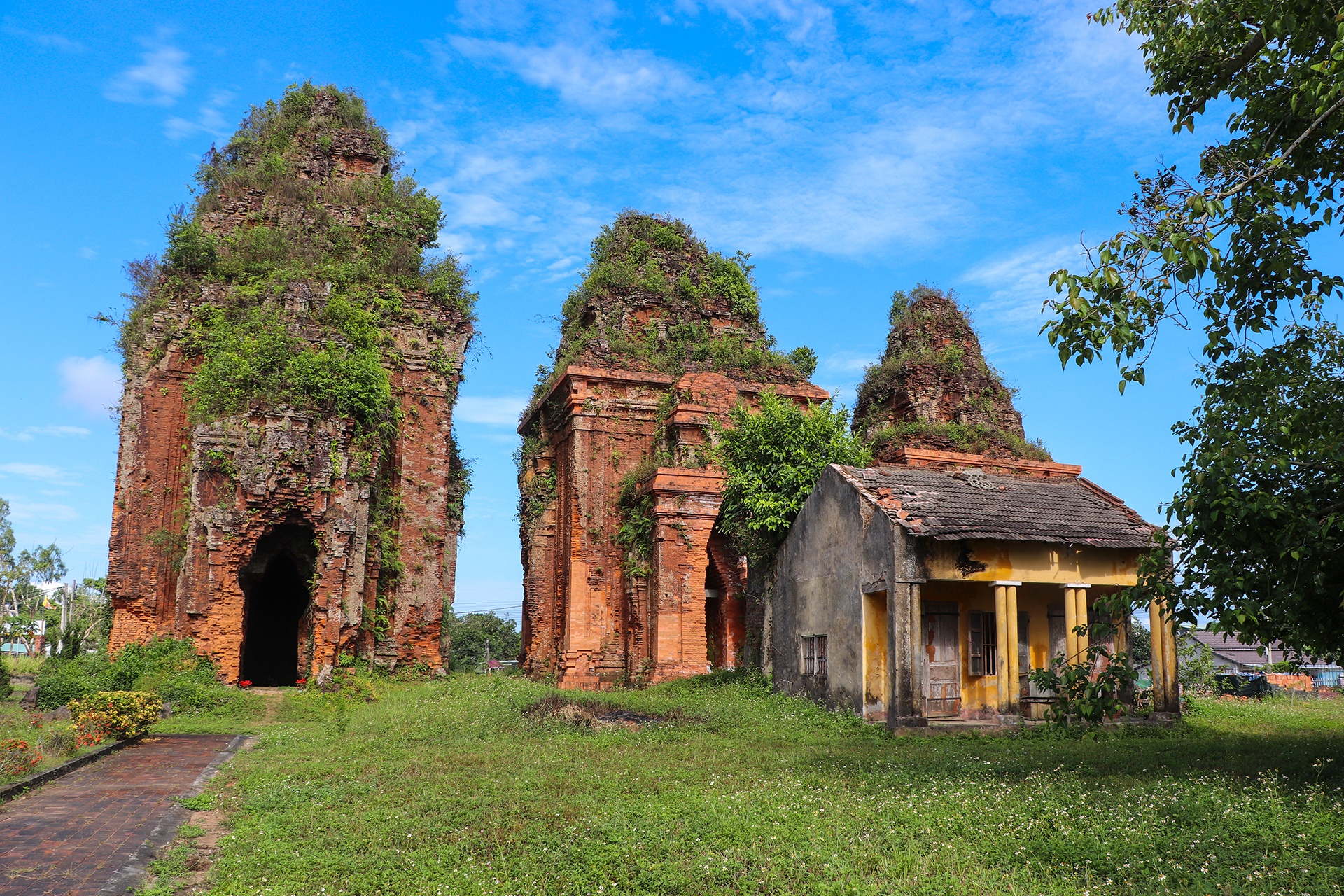 thap cham bi muoi hoa anh 2