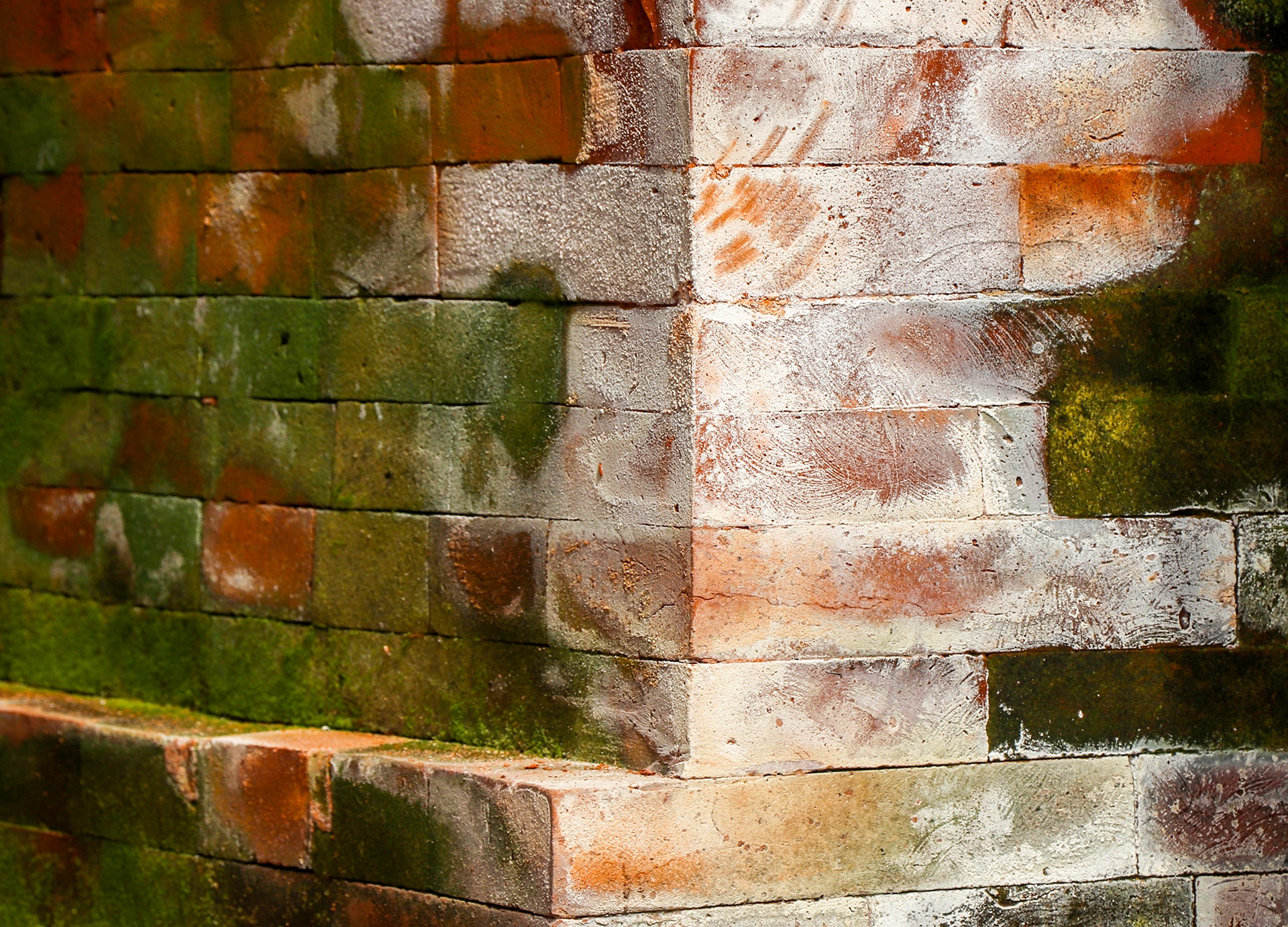 thap cham bi muoi hoa anh 7