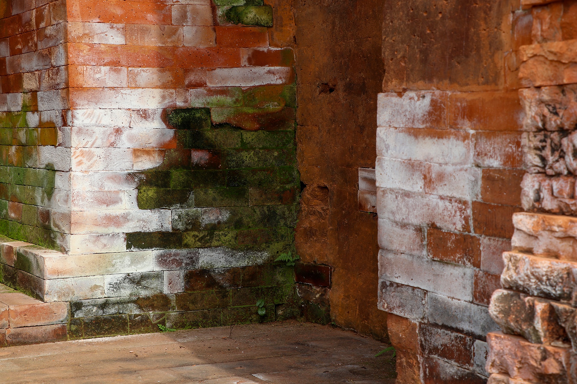 thap cham bi muoi hoa anh 6