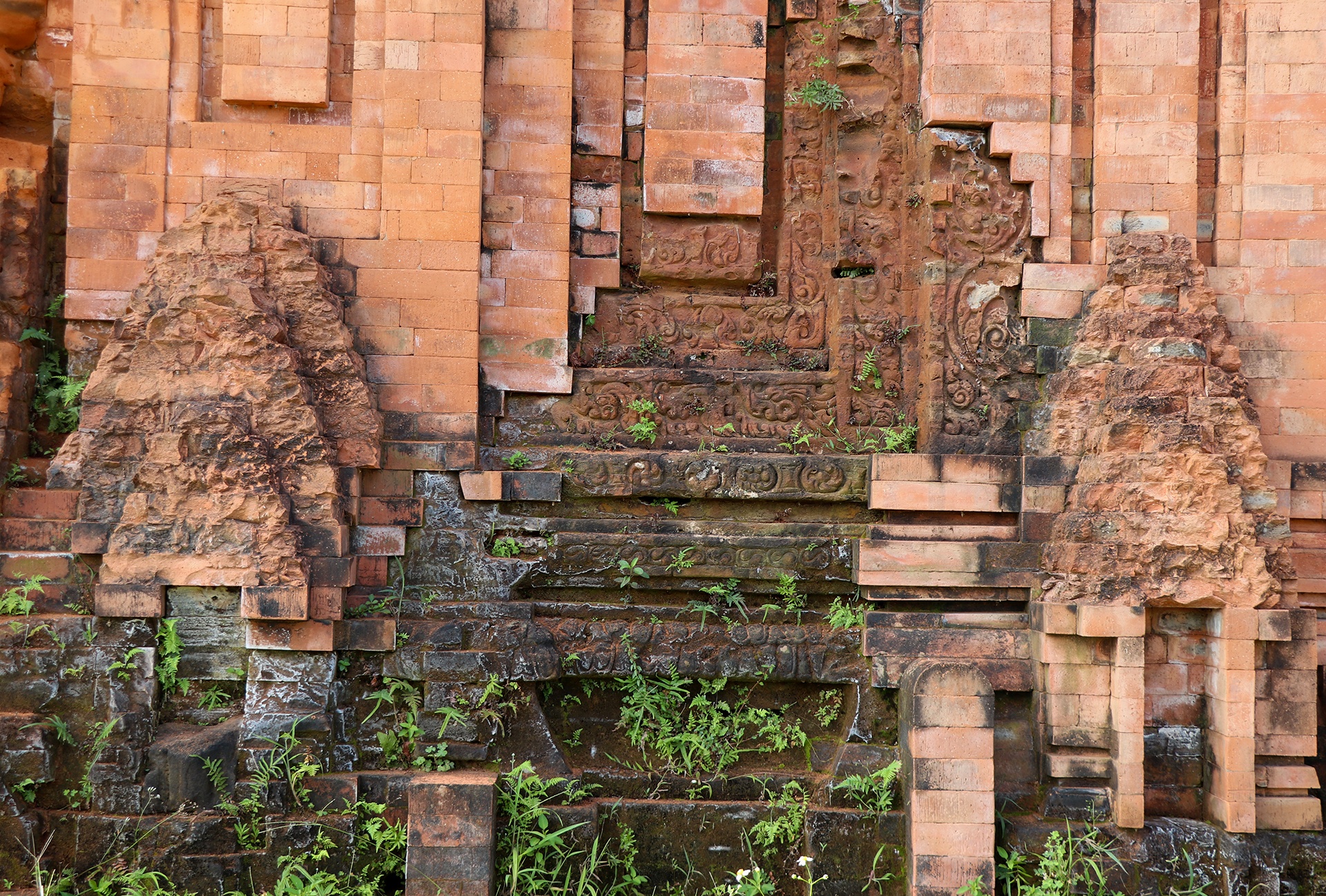 thap cham bi muoi hoa anh 5