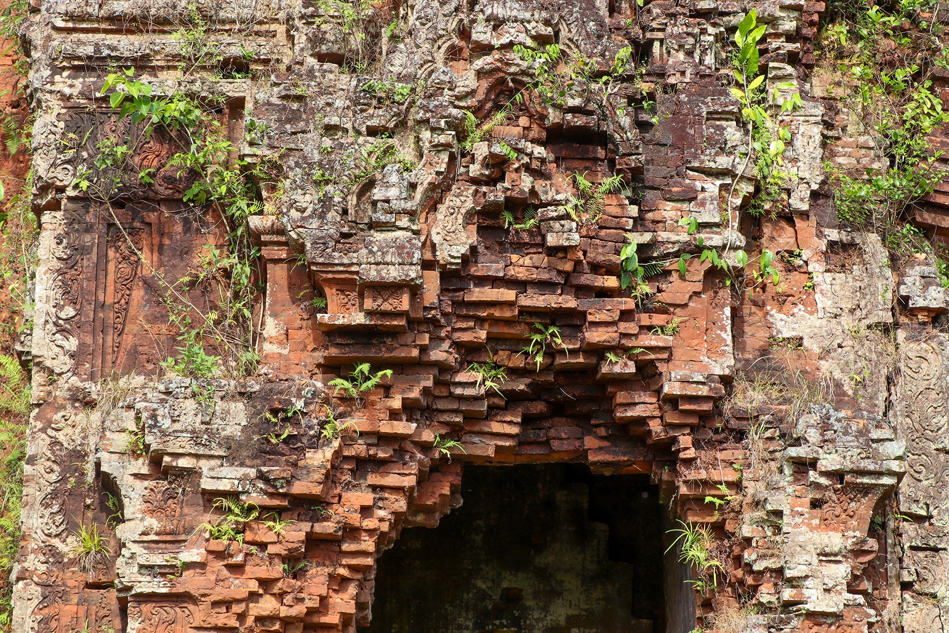 thap cham bi muoi hoa anh 9