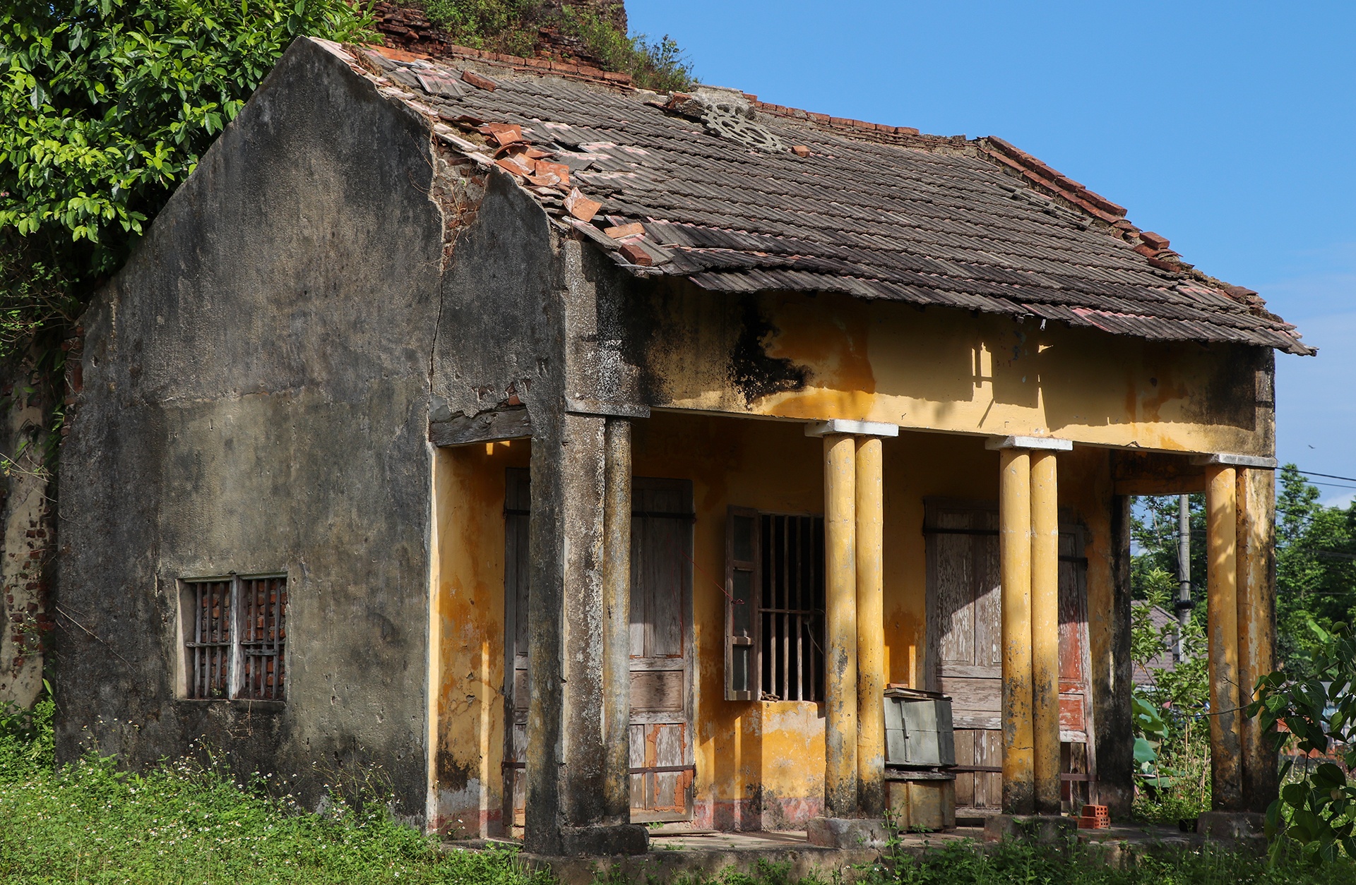 thap cham bi muoi hoa anh 10