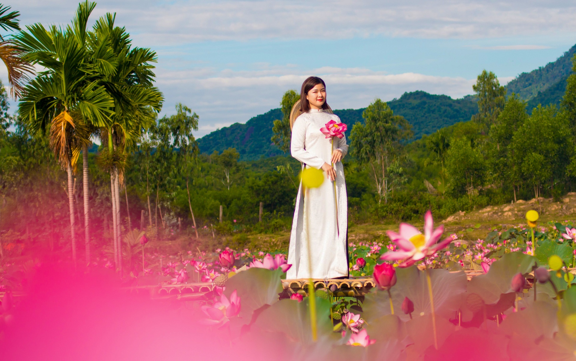 dam sen Tra Ly anh 4