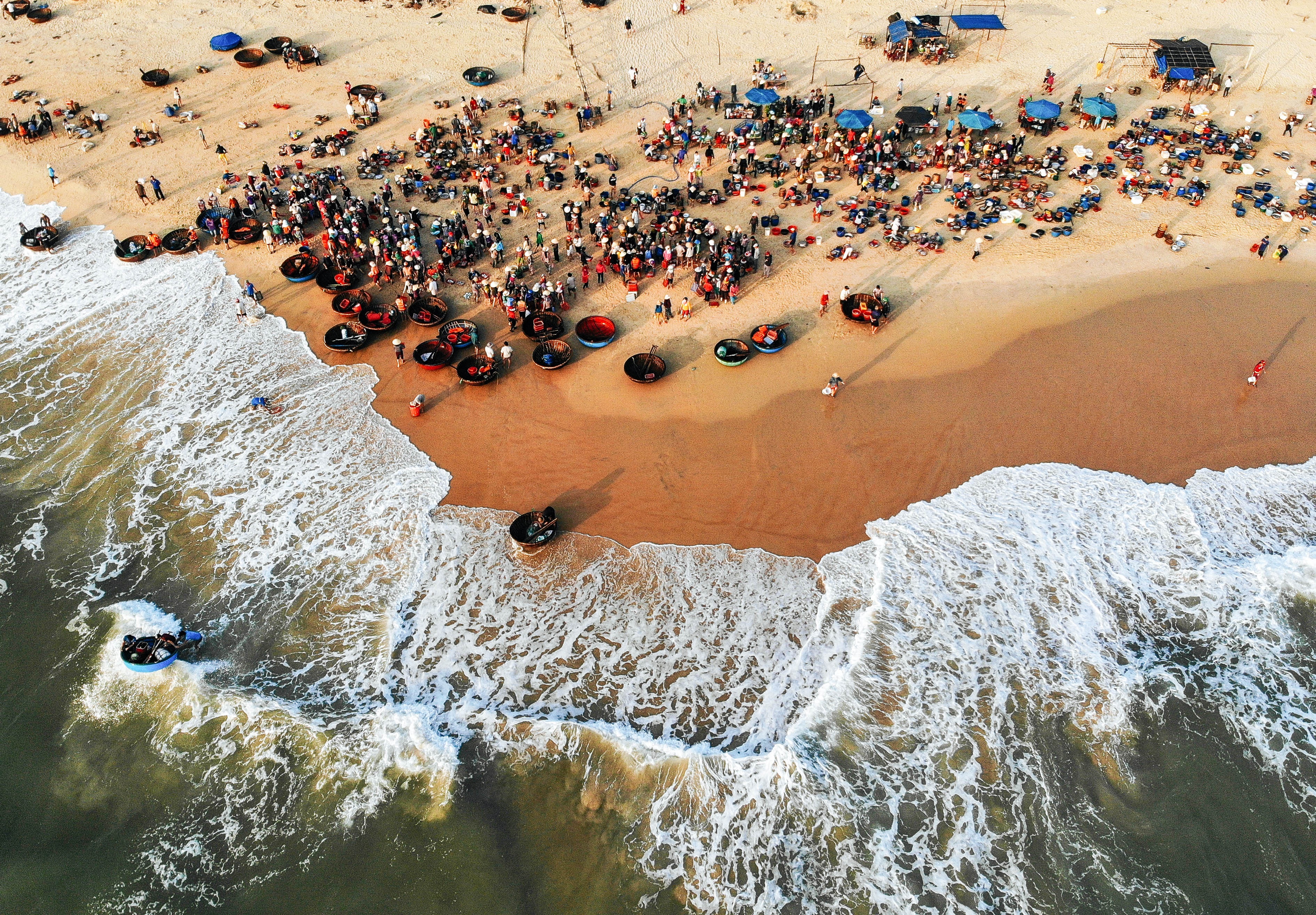 cho ca Tam Tien anh 9