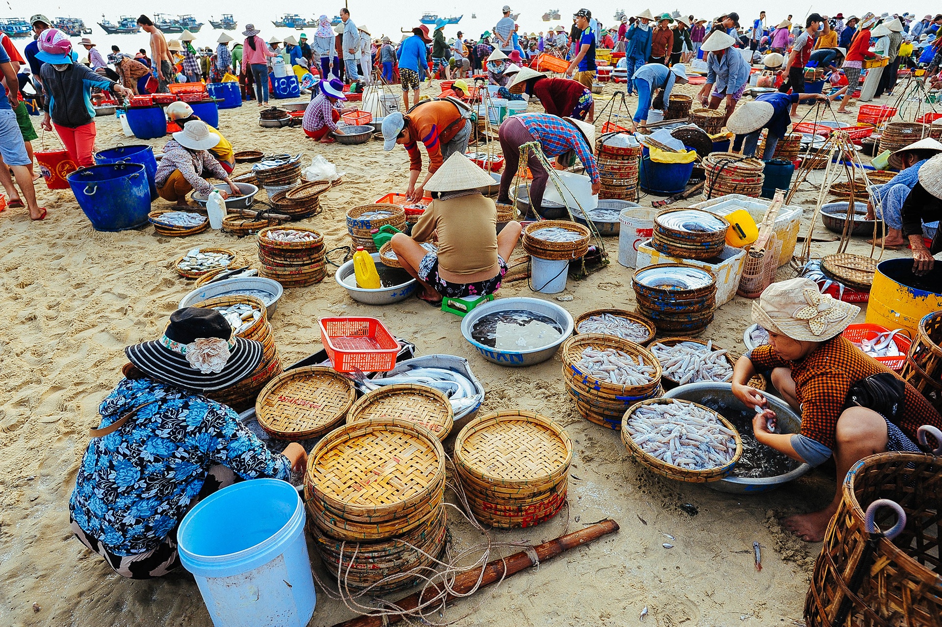 cho ca Tam Tien anh 7