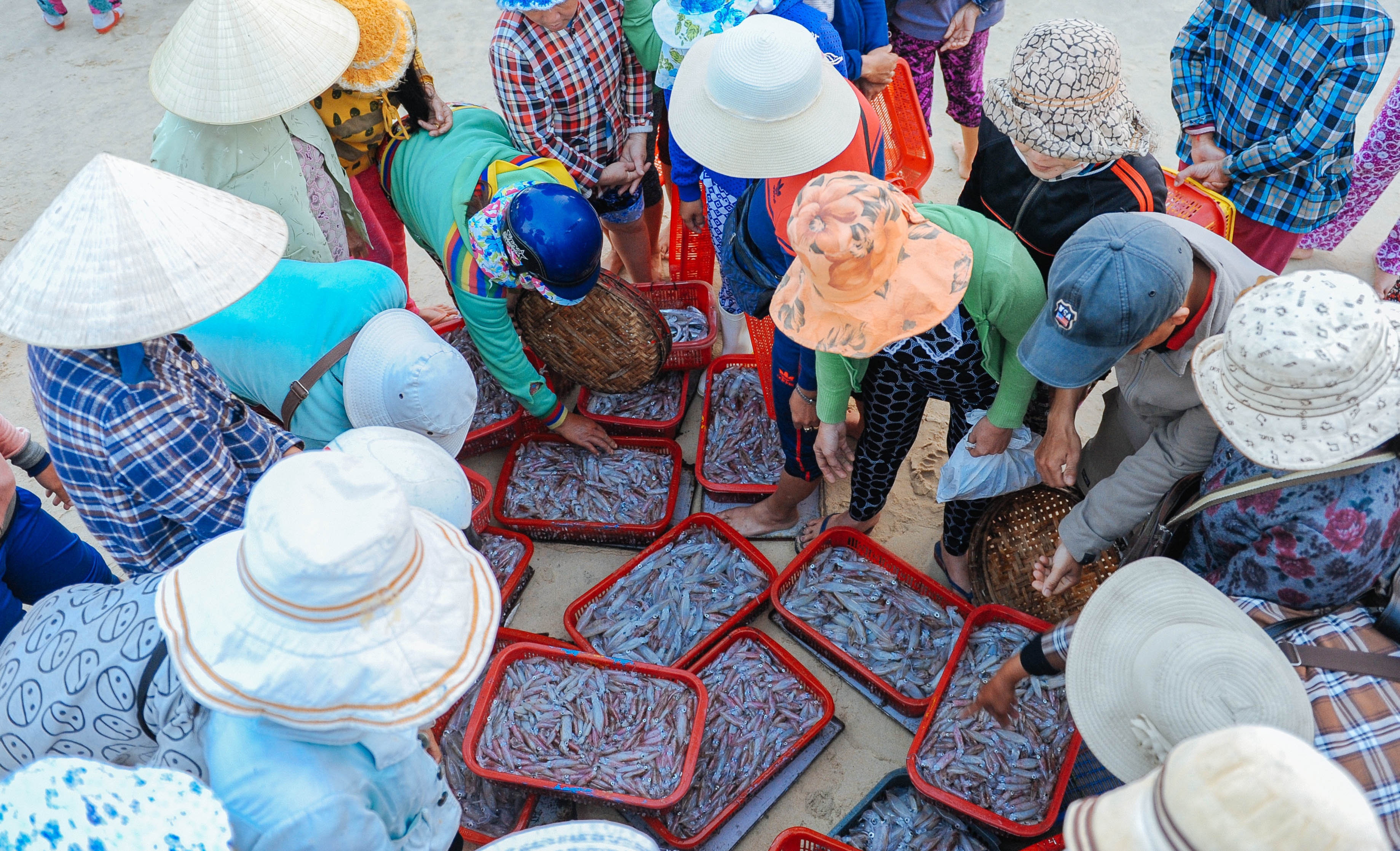 cho ca Tam Tien anh 8