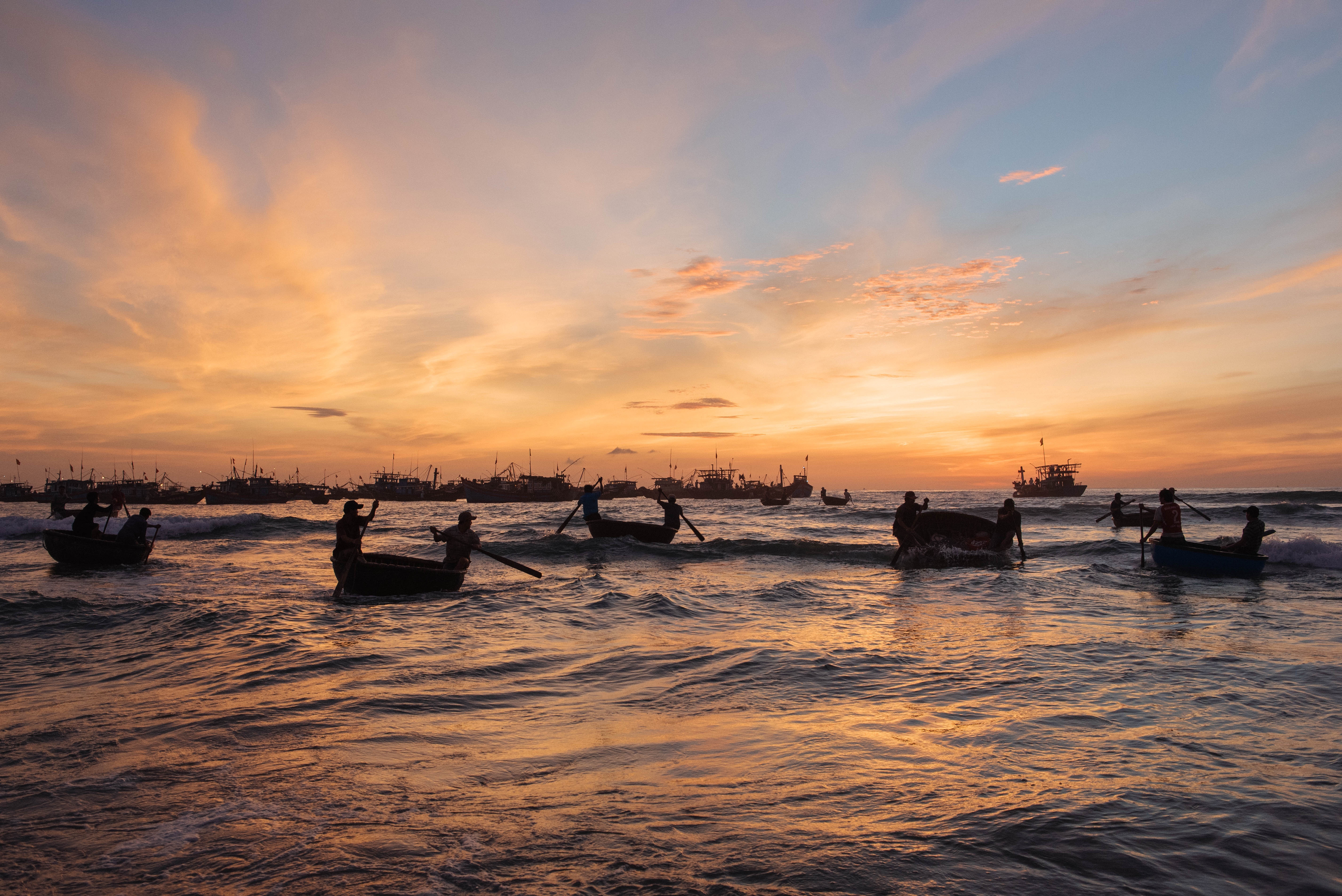 cho ca Tam Tien anh 1