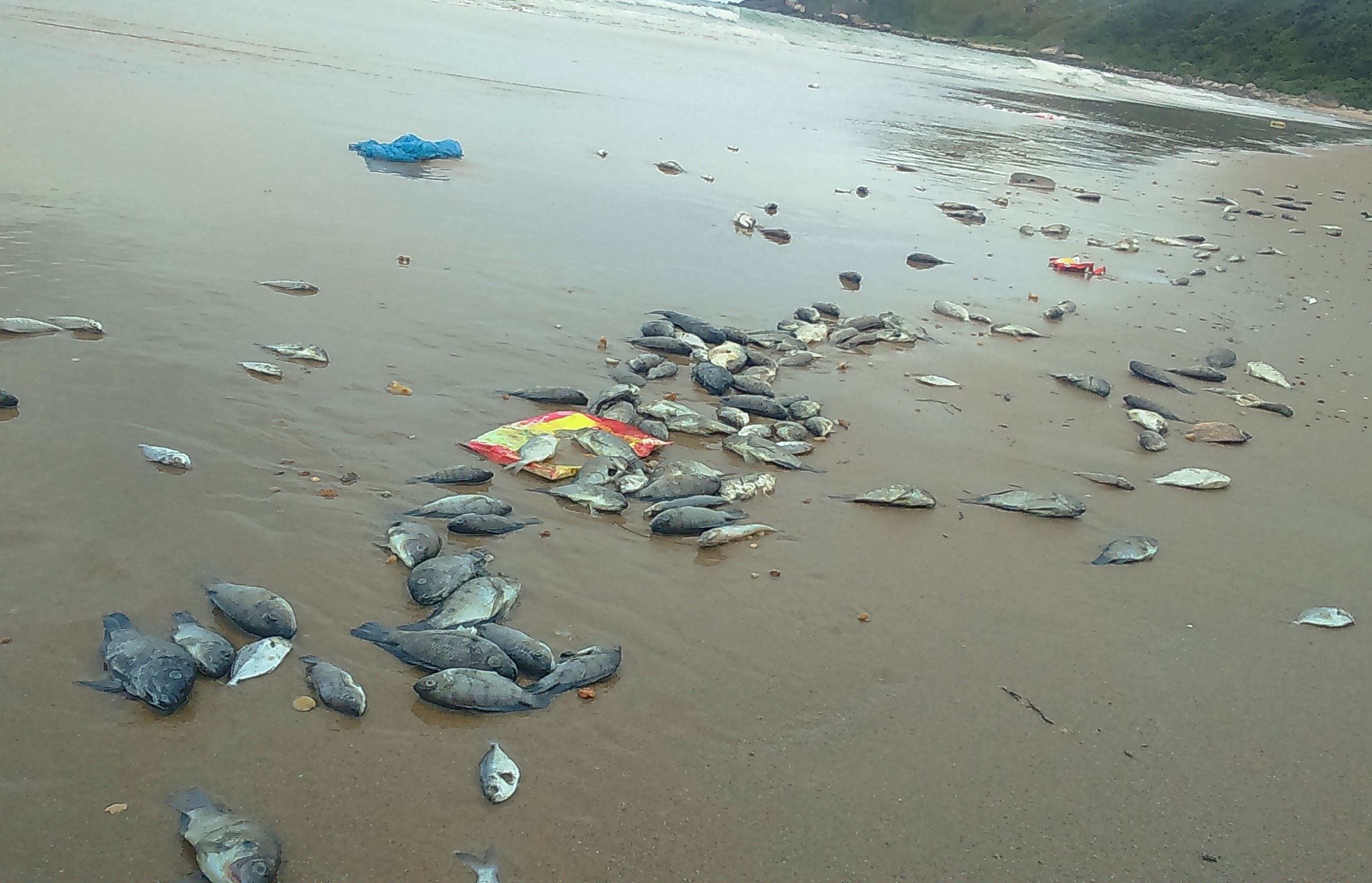 trach nhiem so nganh vu Formosa xa doc anh 1