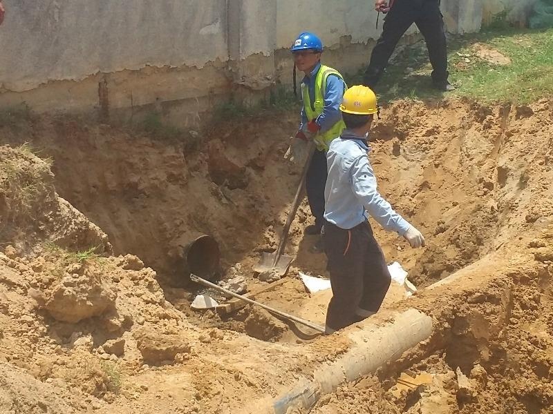 Cat duong ong xa thai ngam trai phep cua Formosa hinh anh