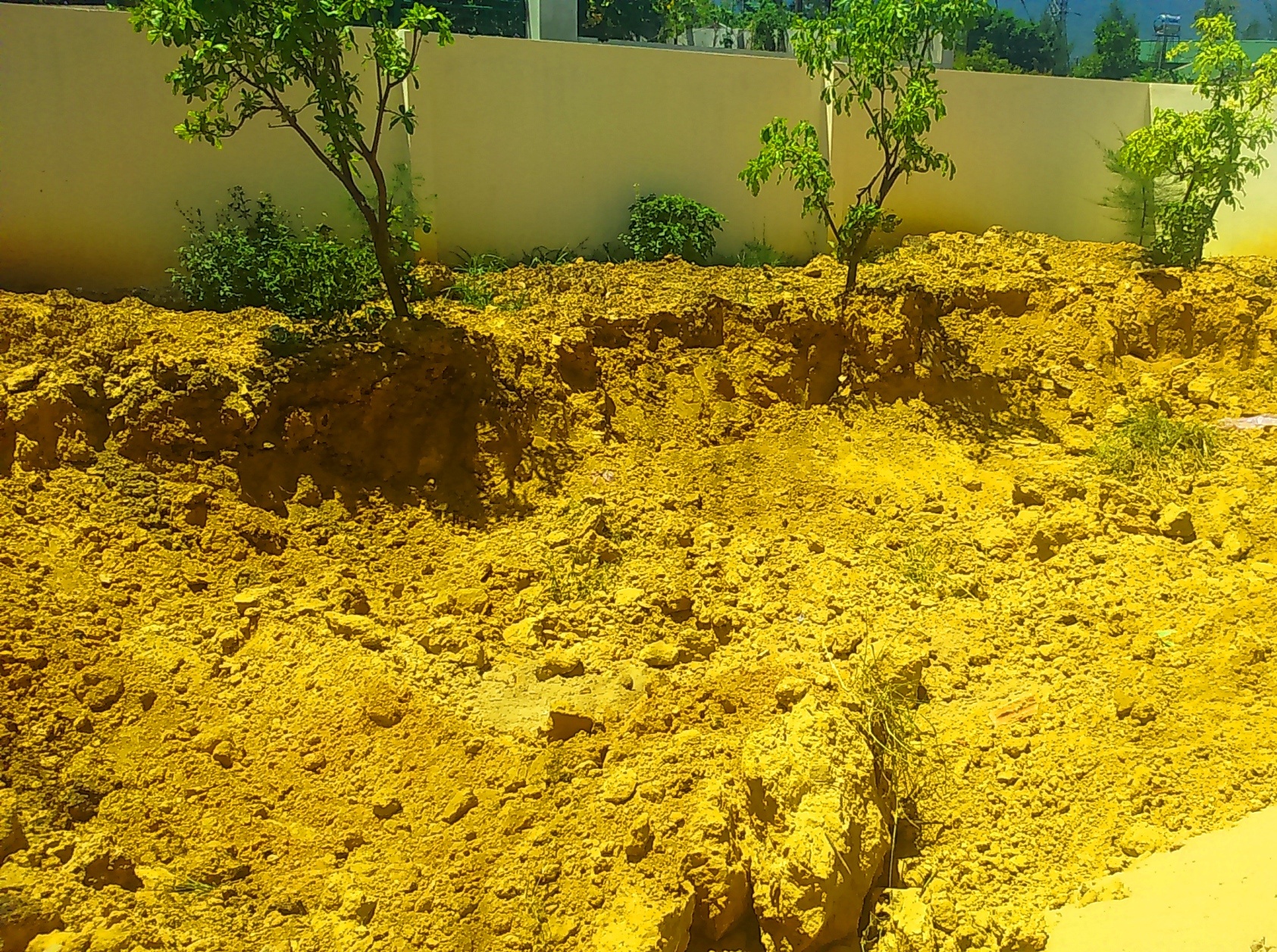 Chat thai tu Formosa anh 2