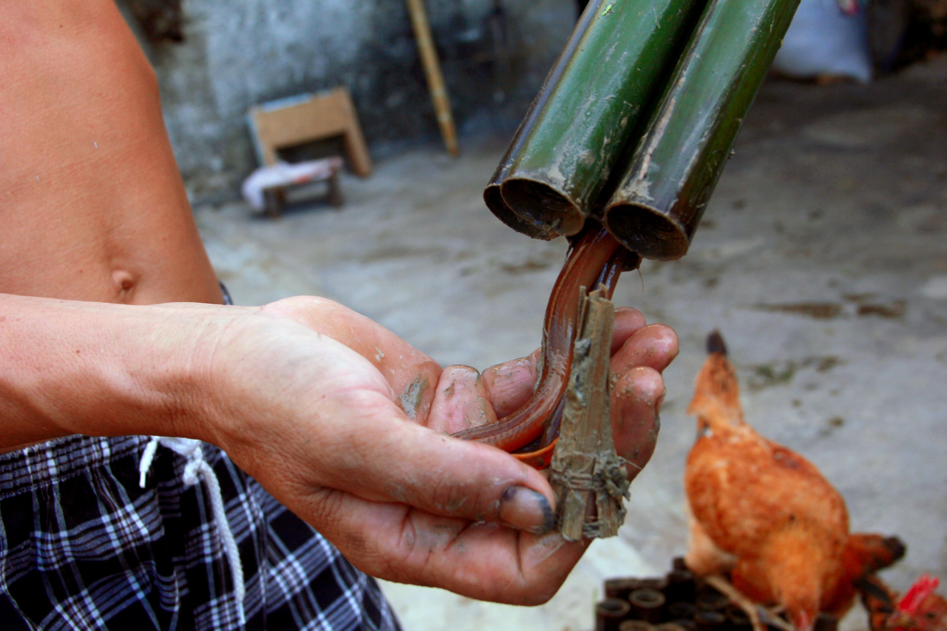 Nghe bat luon dong Xu nghe anh 9