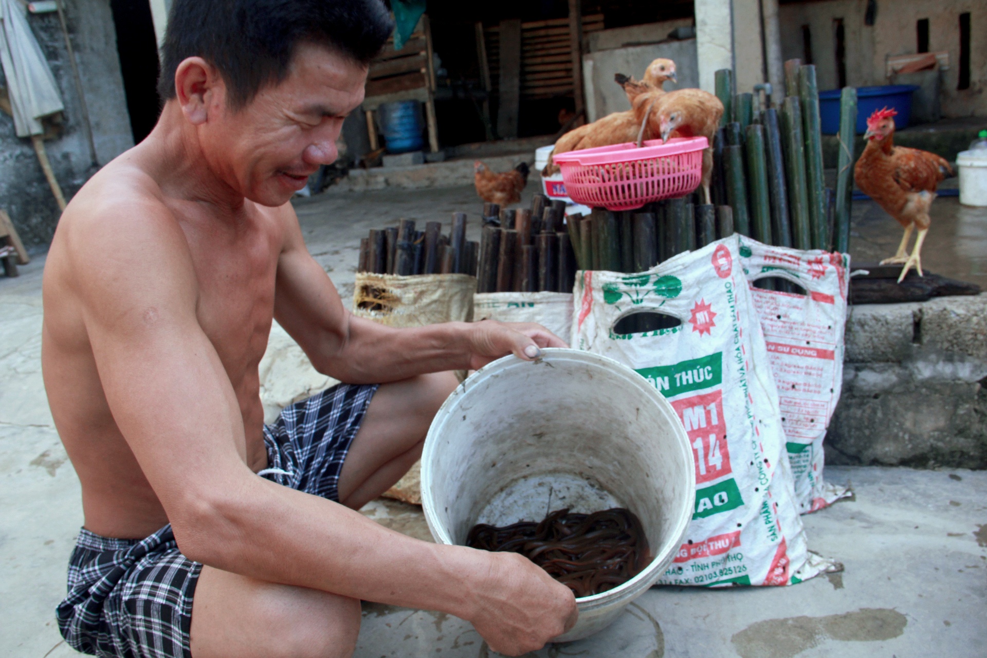 Nghe bat luon dong Xu nghe anh 8