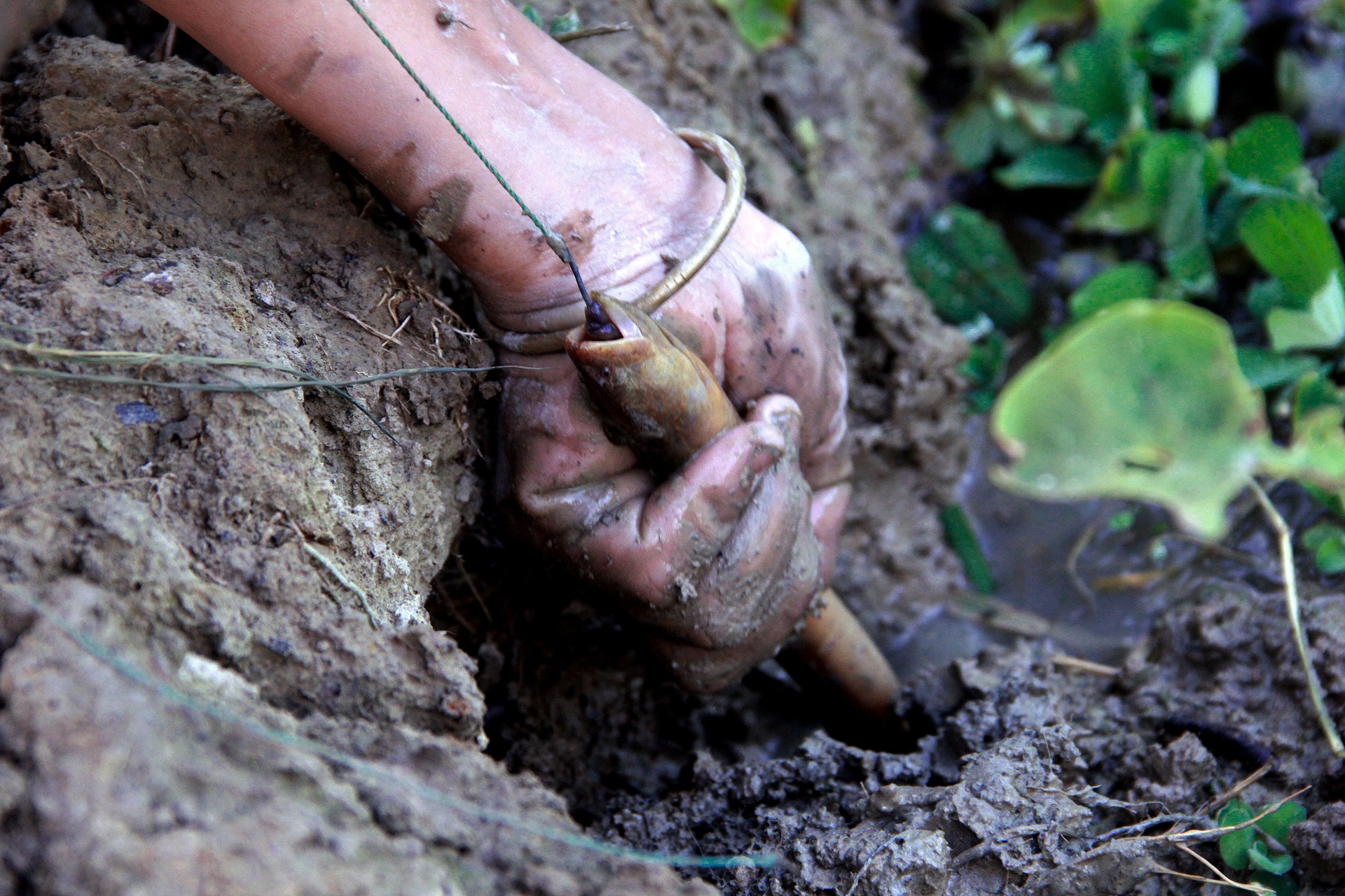 Nghe bat luon dong Xu nghe anh 12