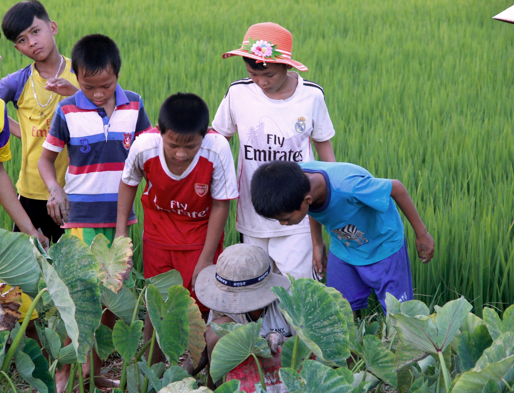 Nghe bat luon dong Xu nghe anh 2