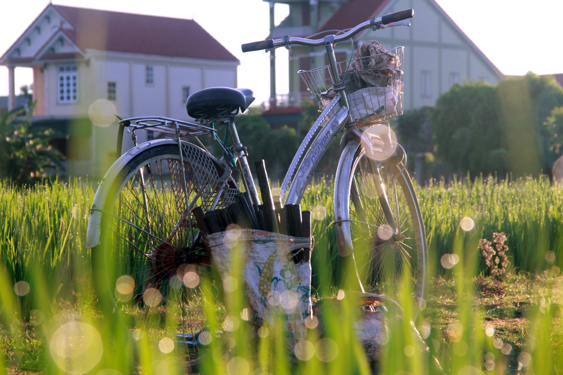 Nghe bat luon dong Xu nghe anh 10