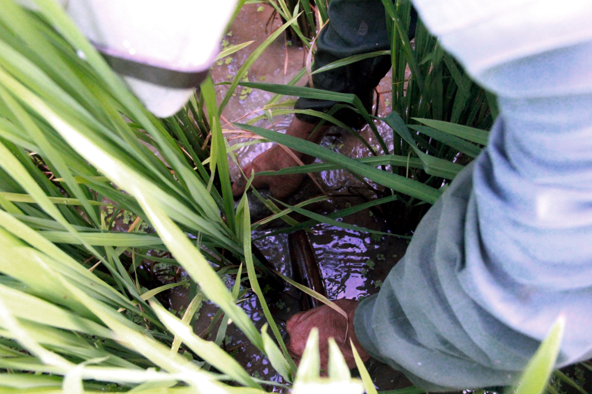 Nghe bat luon dong Xu nghe anh 4