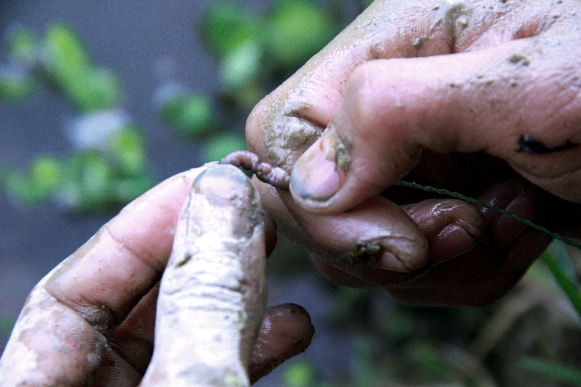 Nghe bat luon dong Xu nghe anh 11