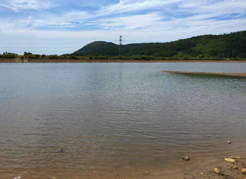 Ca ro phi chet bat thuong anh 1