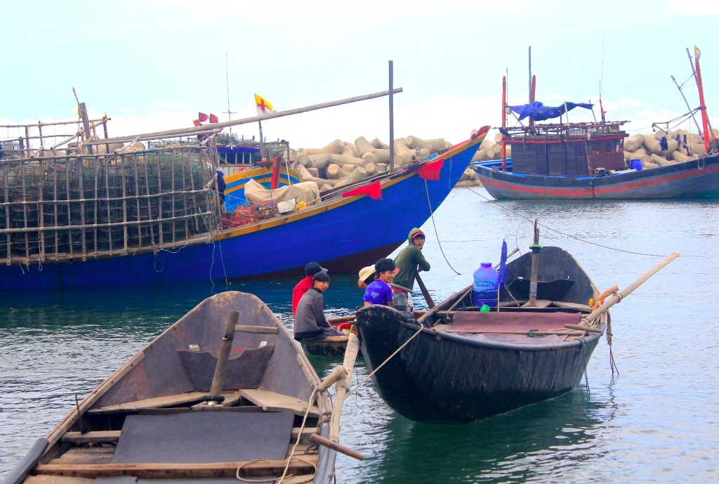 Thanh lap 6 to giam sat ke khai thiet hai sau vu ca chet hinh anh