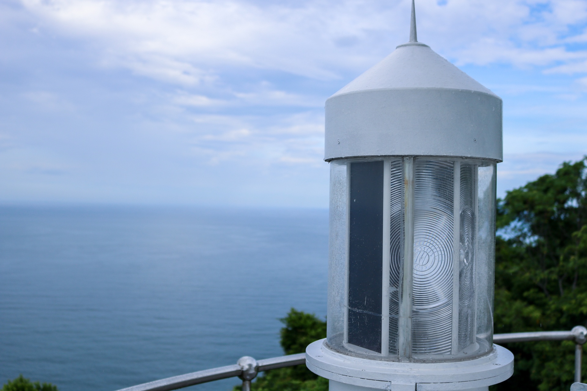 Ngon hai dang co hon 100 tuoi tren ban dao Son Tra anh 4