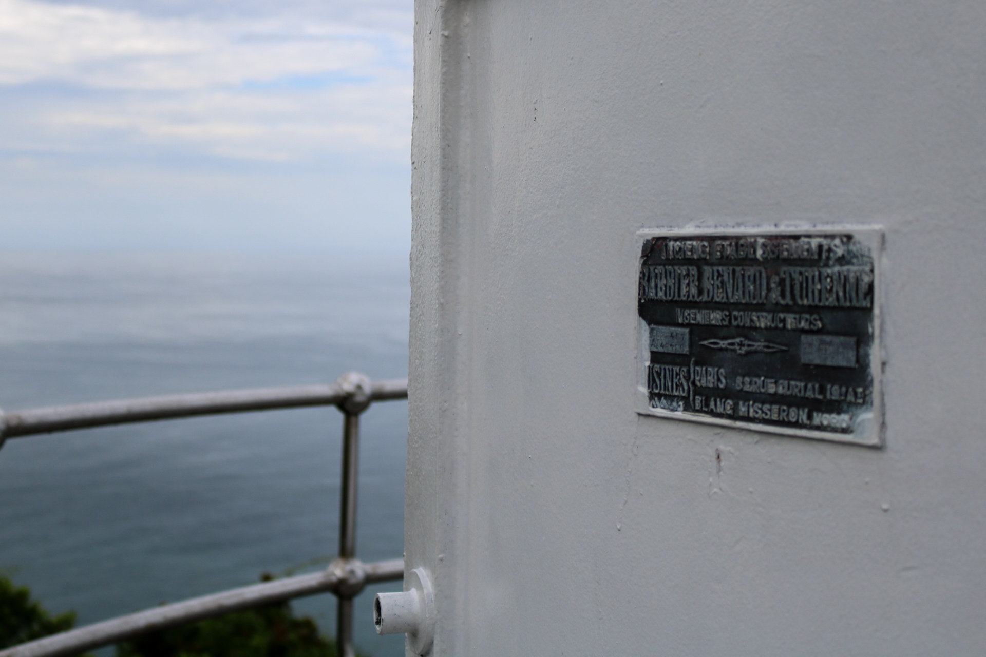 Ngon hai dang co hon 100 tuoi tren ban dao Son Tra anh 8