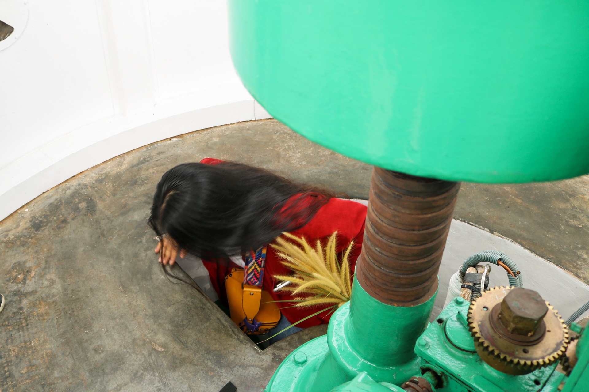 Ngon hai dang co hon 100 tuoi tren ban dao Son Tra anh 9