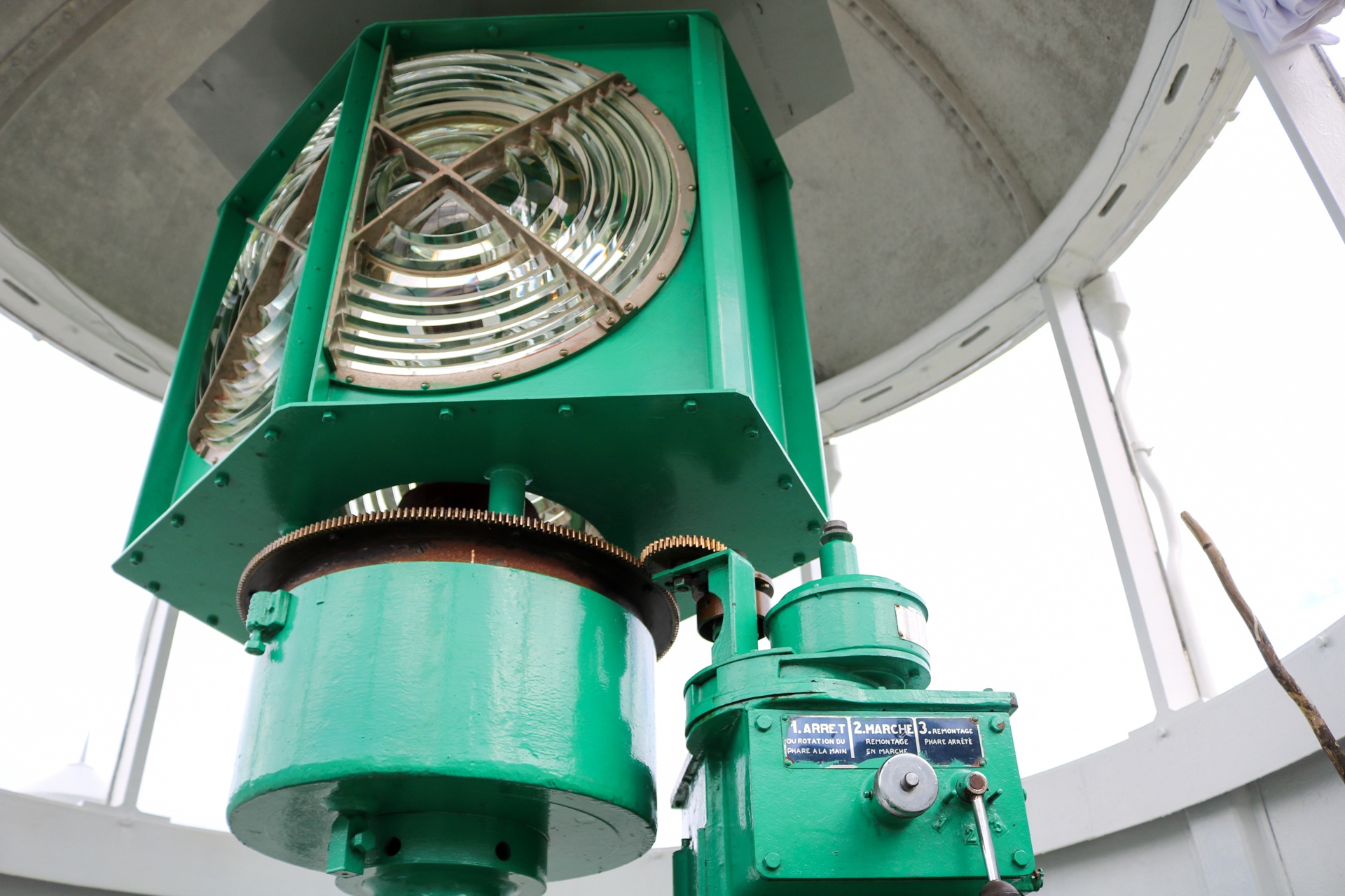 Ngon hai dang co hon 100 tuoi tren ban dao Son Tra anh 3