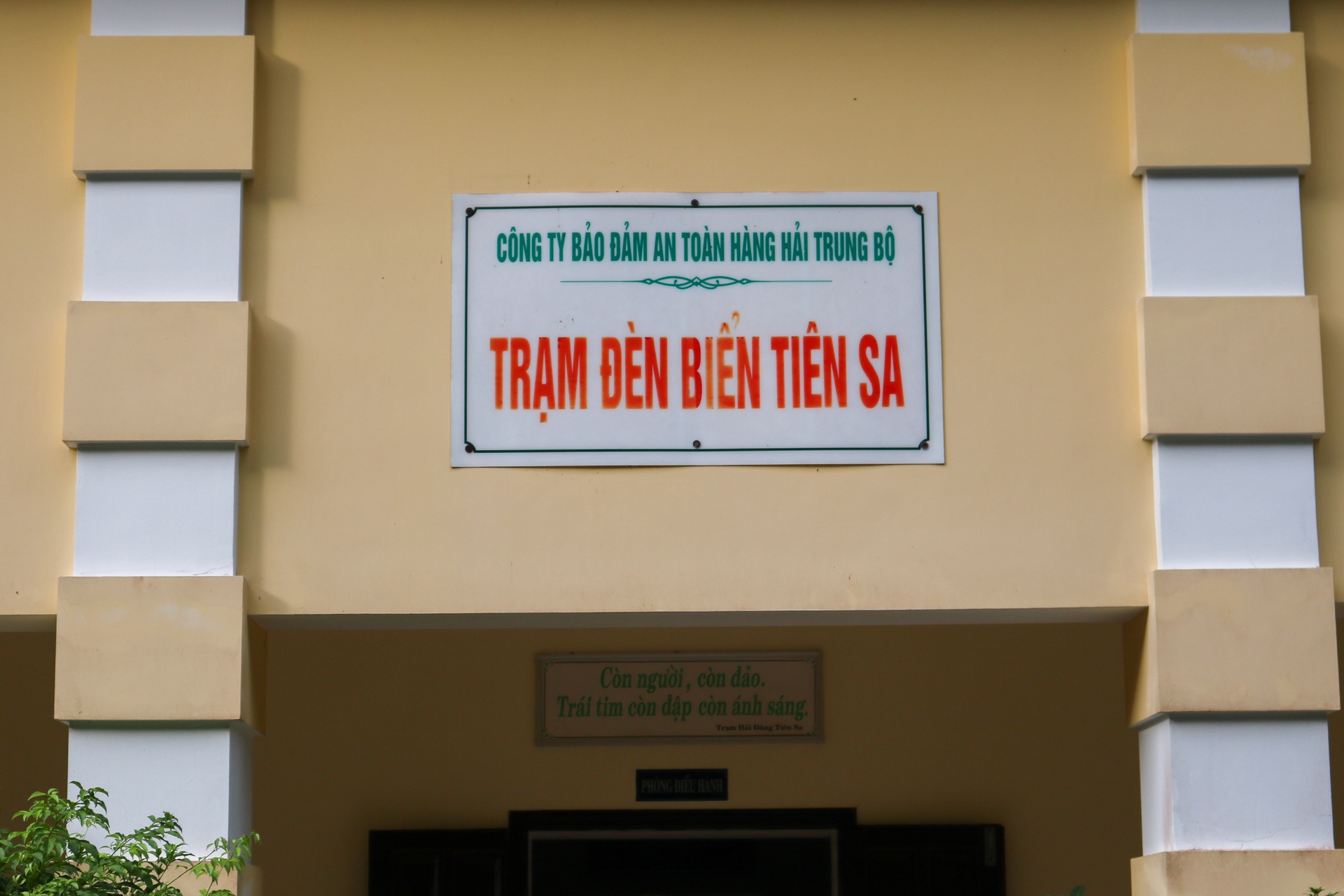 Ngon hai dang co hon 100 tuoi tren ban dao Son Tra anh 10