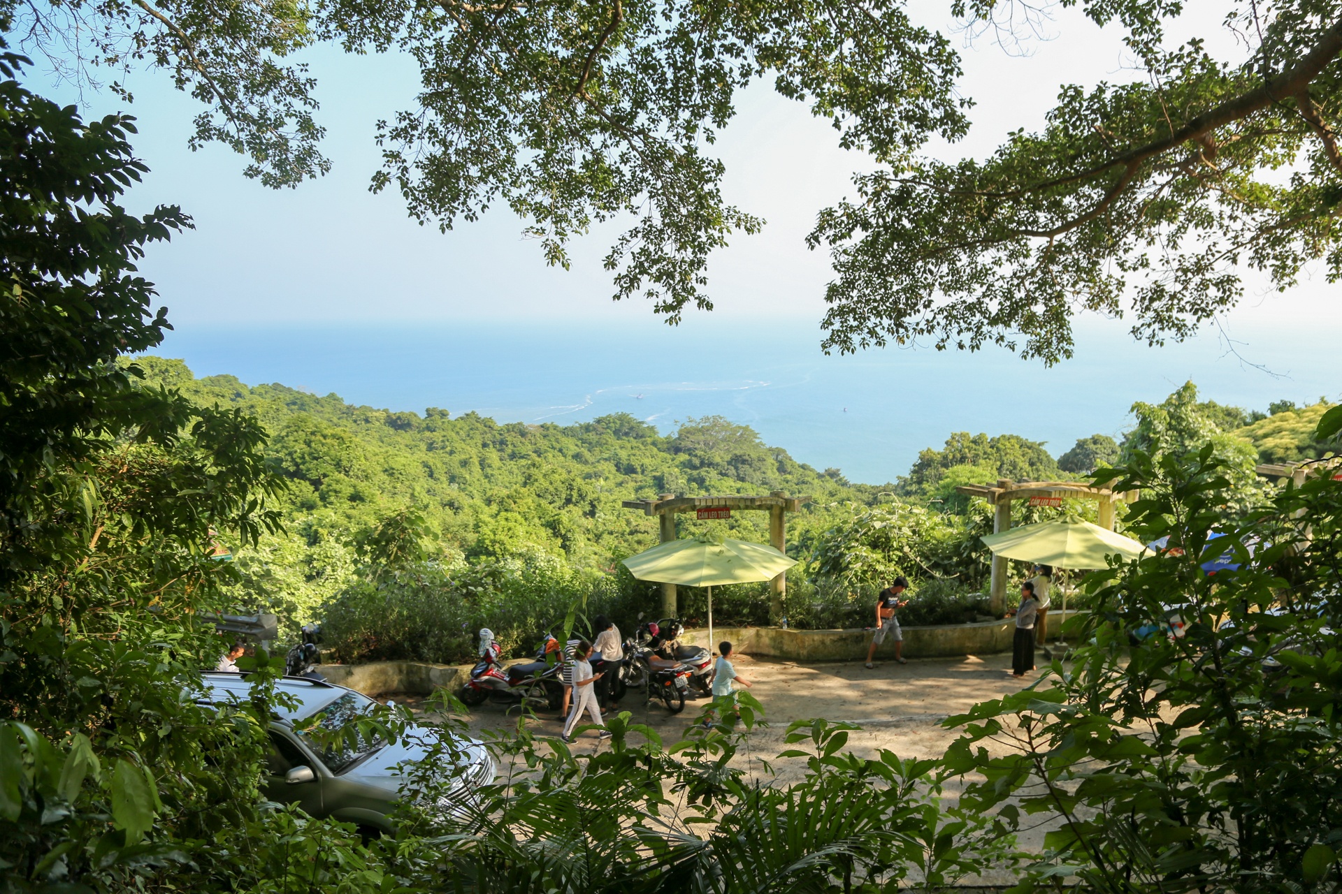 Cay da di san tren dinh nui Son Tra anh 10