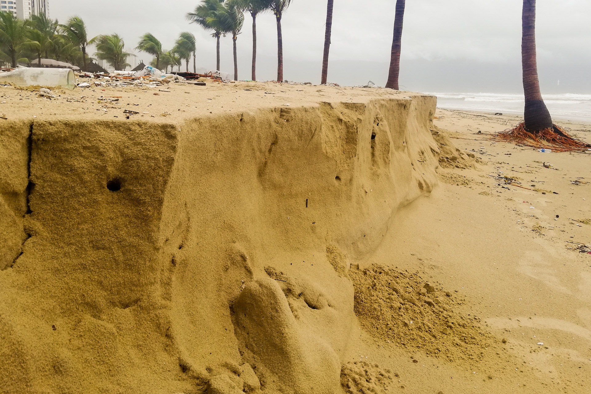 Sau ngap lut bai bien Da Nang ngap rac anh 9