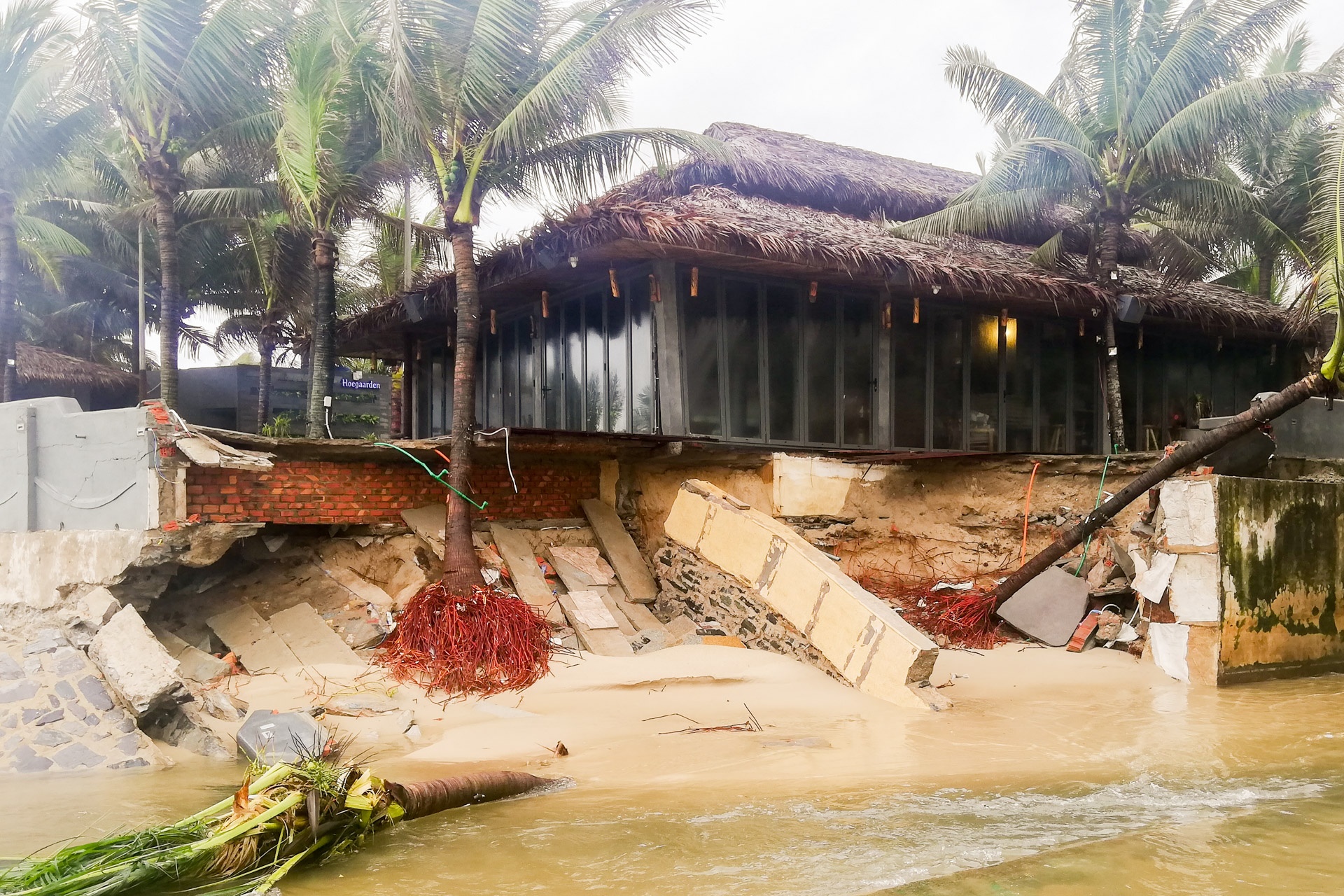 Sau ngap lut bai bien Da Nang ngap rac anh 4