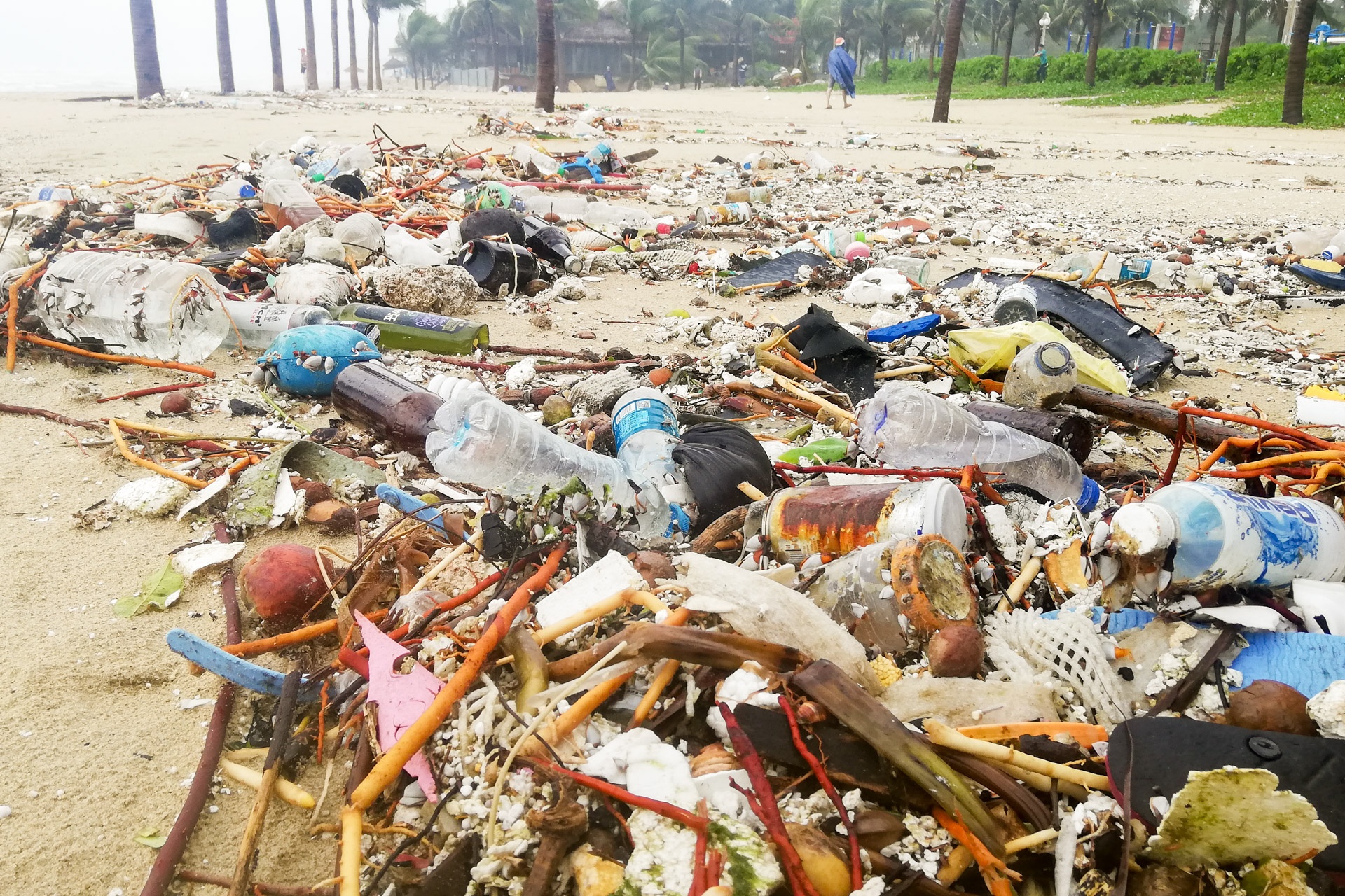 Sau ngap lut bai bien Da Nang ngap rac anh 7