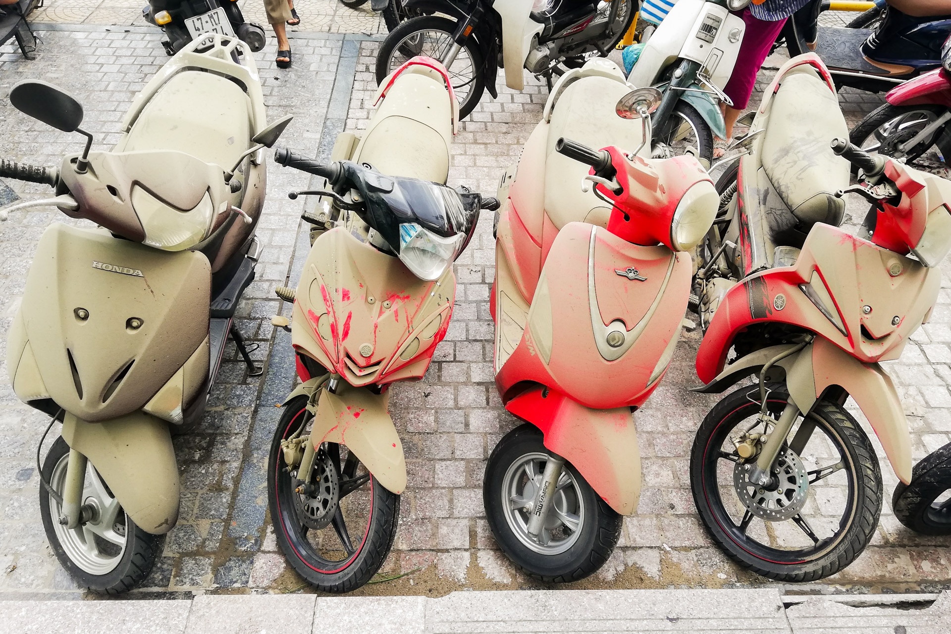 Nhieu xe sang nhu BMW,  Range Rover,  duoc giai cuu anh 13