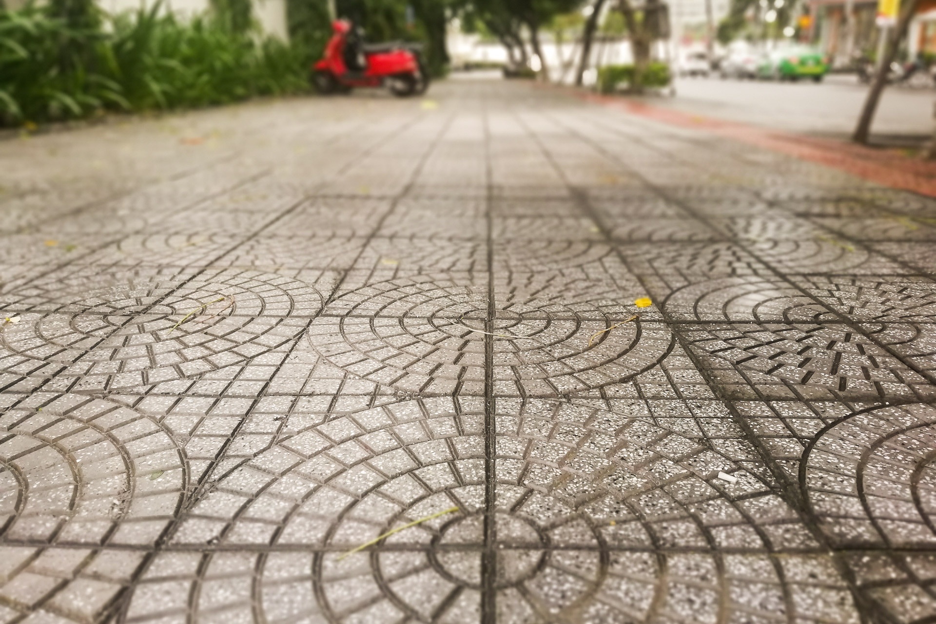 Da Nang 'lot xac' sau mua lut anh 9