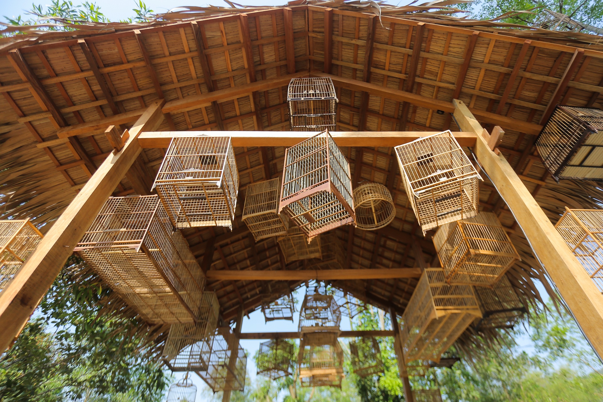 Khu nghi duong trong rung phong ho o Quang Nam. anh 9