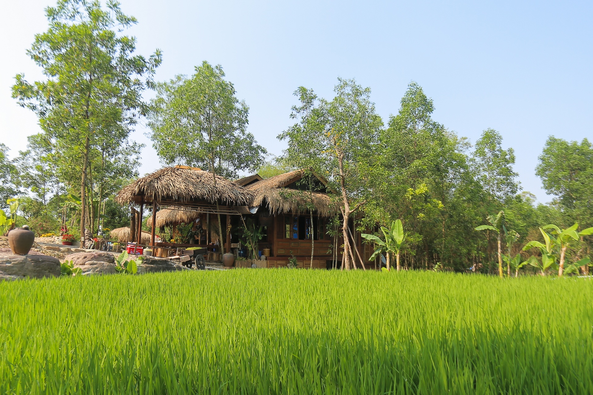 Bao ke xay dung trai phep anh 2