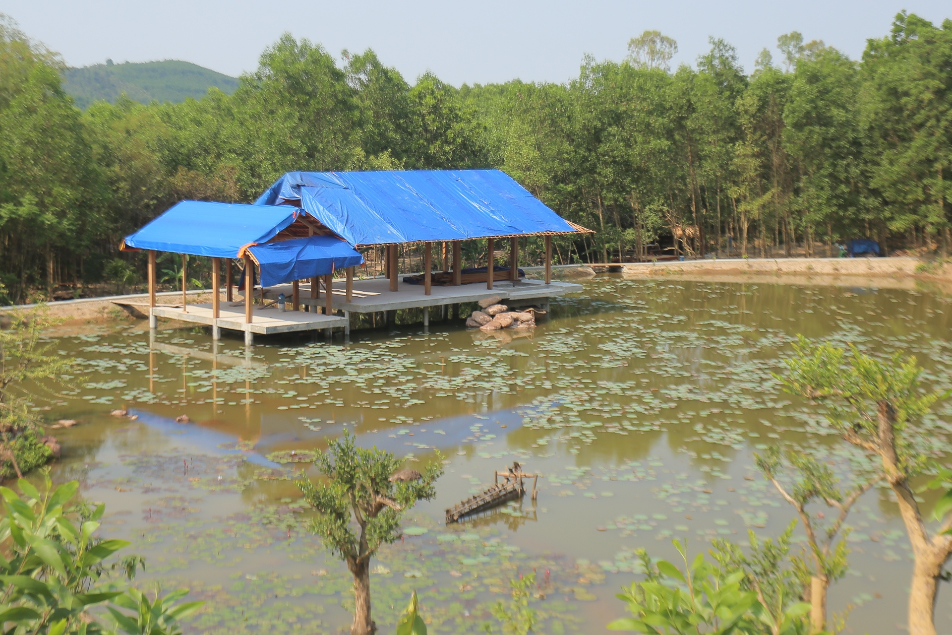 Bao ke xay dung trai phep anh 1